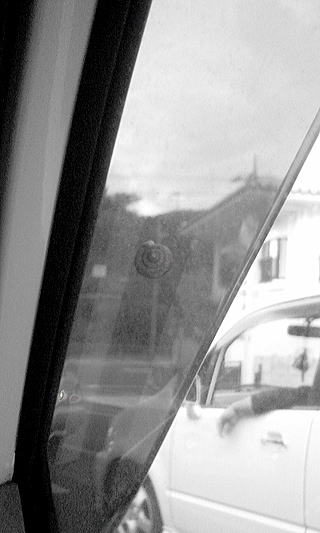 �����ނ�B